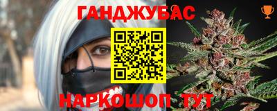 молекула духа Будённовск