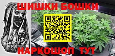 молекула духа Будённовск